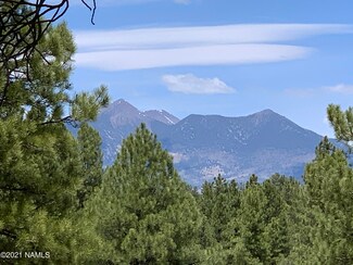 3965 S Clubhouse Cir Unit 304, Flagstaff, AZ 86005