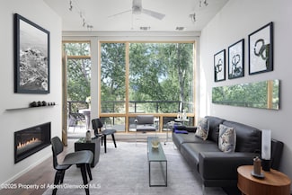 104 Evans Rd Unit 207, Basalt, CO 81621