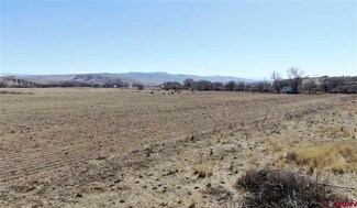 TBD Austin Rd, Austin, CO 81410