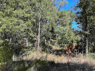 TBD Hanna Loop, Hemingway, SC 29554