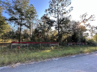 TBD NE 2nd St, Williston, FL 32696