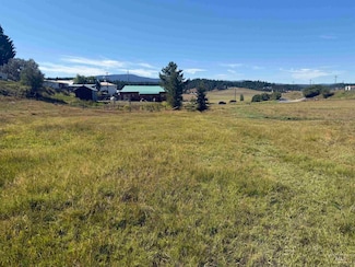 TBD School Dr, Elk City, ID 83525