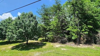 Lots 2/4 Tennessee 108, Gruetli Laagr, TN 37339