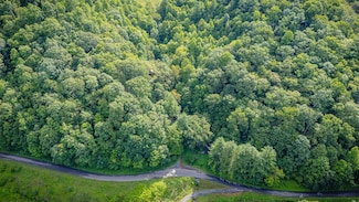 Tbd Lynn Springs Rd, Swords Creek, VA 24649