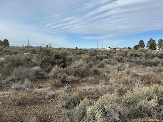 0 Twighlight Rd Unit TL 4000 220177204, Christmasvalley, OR 97641