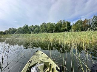 TBD N Blackduk Lake Rd, Blackduck, MN 56647
