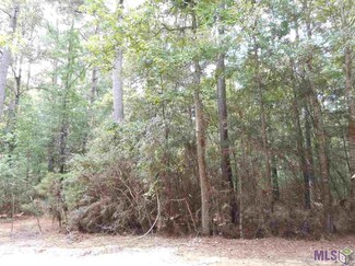 8253 Odeal Williams Ln, Ethel, LA 70730