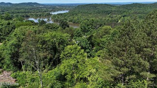 Lot 4 Lamontville Rd, Decatur, TN 37322