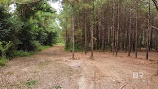 0 James Rd Unit 380999, Foley, AL 36535