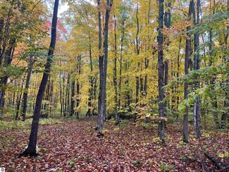 0 Greenleaf Ln, Blair Township, MI 49637