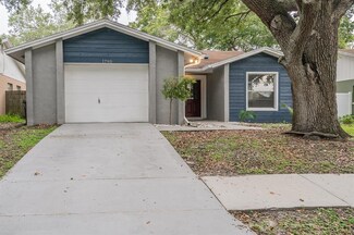 1790 Lakeview Village Dr, Brandon, FL 33510