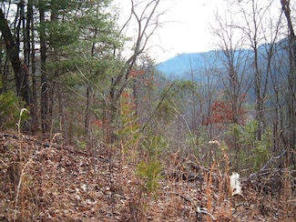 Lot 11 Cedar Cliff Stovall, Tuckasegee, NC 28783