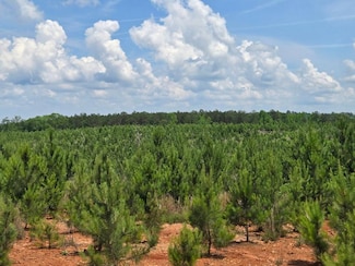 0 County Road 87 Unit 23688959, Roanoke, AL 36274