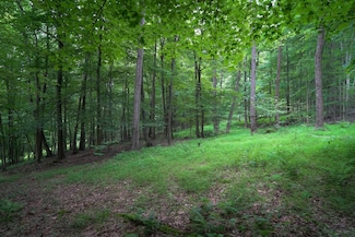 0 Bortz Rd, Lake Lynn, PA 15451