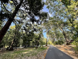 13117 Madrone Forest Dr, Nevada City, CA 95959