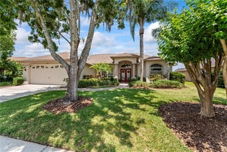 1813 Audubon Trail, Lutz, FL 33549