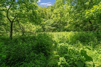 Tbd Island Rd, Bristol, TN 37620
