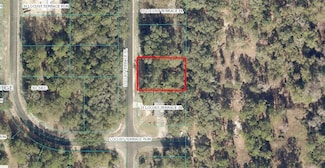 0 Tbd Locust Terrace Place, Ocala, FL 34472