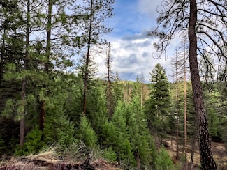 568-B Dolomite Rd, Colville, WA 99114