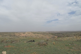 13001 E County Rd 7700, Slaton, TX 79364