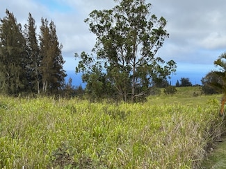 0 Palikekua St, Honokaa, HI 96727