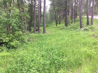 0 Danube Ln, West Pennington, SD 57702