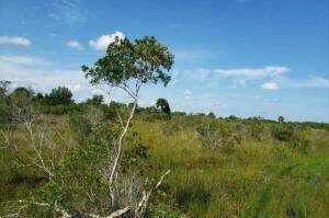 0 NW 316th St Unit R10992374, Okeechobee, FL 34972
