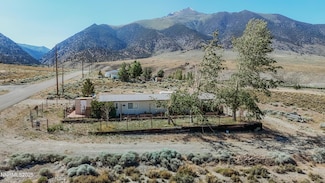 8 Buckhorn Ct, Austin, NV 89310