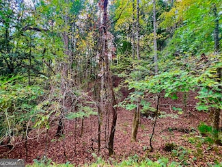 48 Cascade Ct, Rockmart, GA 30153