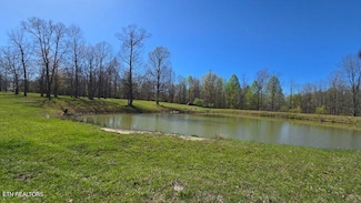 217 A Day Dream Dr, Dunlap, TN 37327