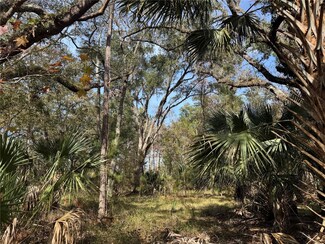 0 Undetermined Unit MFRTB8340178, Citra, FL 32113