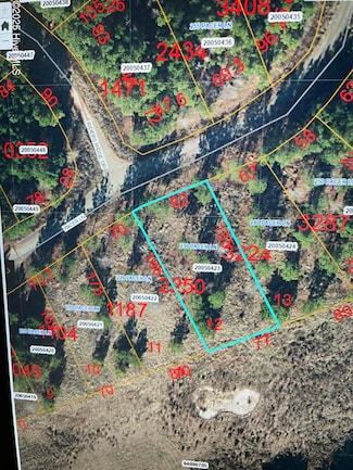 230 Pacer Ln, Carthage, NC 28327