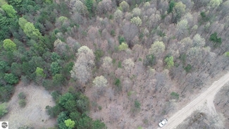 00 Horton 14 Mile Rd, Mesick, MI 49668