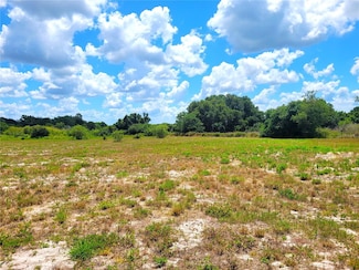 9945 S Us Hwy 37, Mulberry, FL 33860