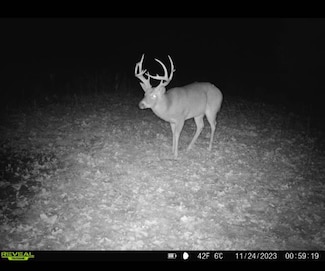 1 Cr 831, Gainsville, MO 65655