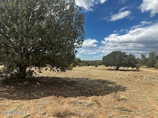 00 Antler Trail, Seligman, AZ 86337