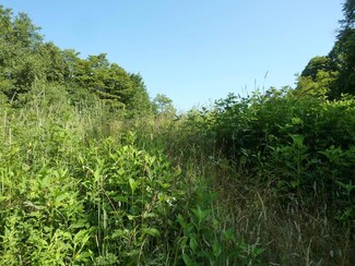 TBD Strawberry Hill Rd, Meadows of Dan, VA 24120