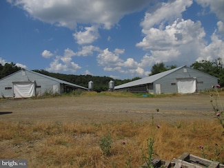 703 Nugget Ln, Scherr, WV 26726