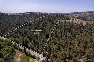 0 Peter Dan Rd, Coulee Dam, WA 99116