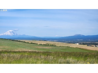 0 Nka Shull Ranch Rd Unit 771078342, Centerville, WA 98613