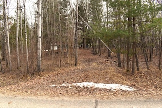 Lot 161 King Henry Cir, Butman Township, MI 48624