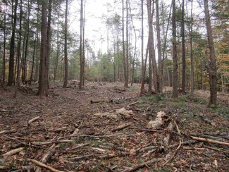 0 Old Chesterfield Rd Unit 4607492, Spofford, NH 03462