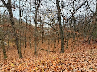 Lot 59 Grand Cove Rd, Jasper Township, MO 65079