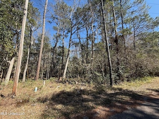 7312 Anela Place, Diamondhead, MS 39525