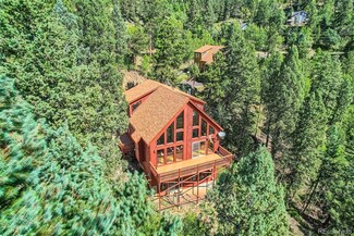 31524 Kings Valley Dr, Conifer, CO 80433