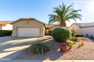 1423 E Peach Tree Dr, Chandler, AZ 85249
