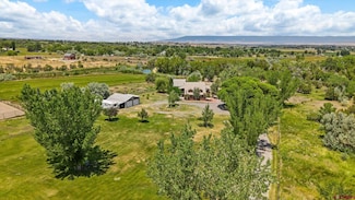 60245 Oak Grove Rd, Montrose, CO 81403