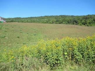 TBD Big Valley Dr, Draper, VA 24324