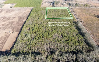 TBD 161st Road 5 26ac, Live Oak, FL 32060