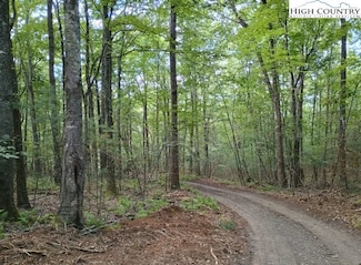 TBD Elk Knob Rd, Laurel Springs, NC 28644